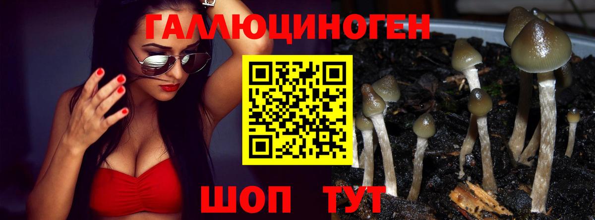 Псилоцибиновые грибы мухоморы  Псилоцибиновые грибы Cubensis  Биробиджан  Вход с VPN 