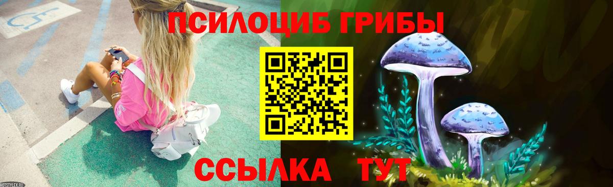 Галлюциногенные грибы GOLDEN TEACHER Биробиджан